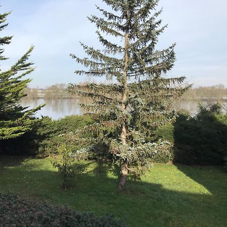 Une Nuit Sur Loire Treves-Cunault Eksteriør bilde