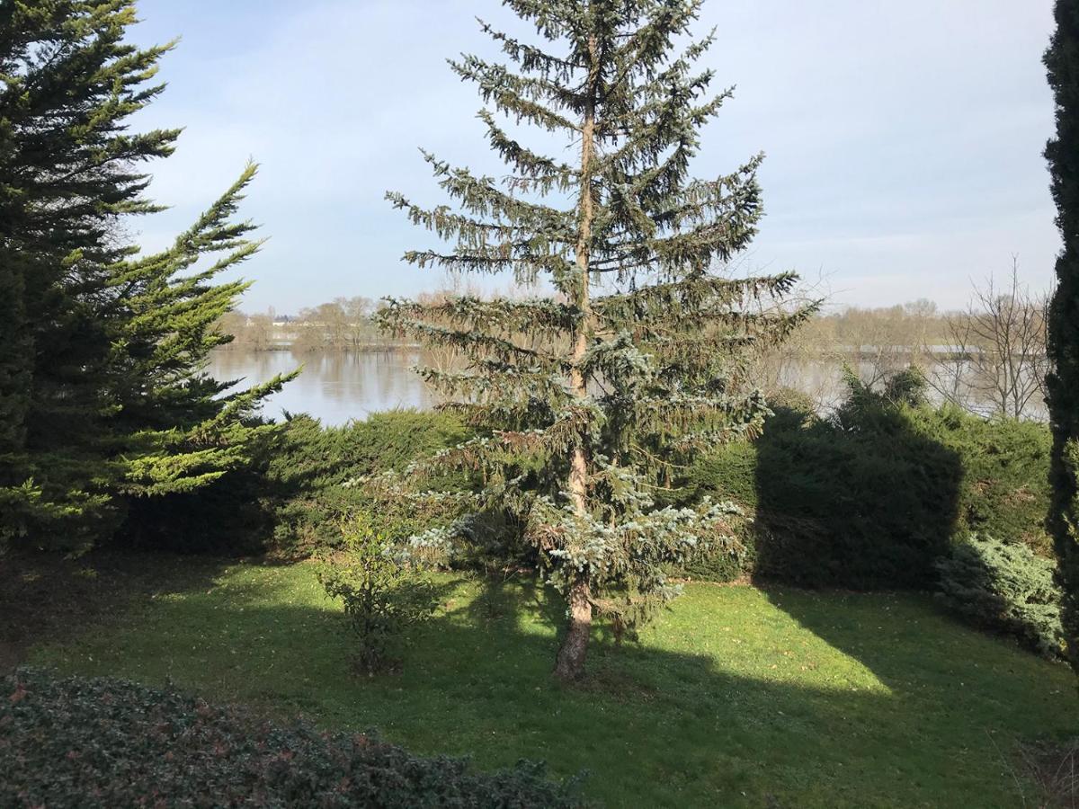 Une Nuit Sur Loire Treves-Cunault Eksteriør bilde
