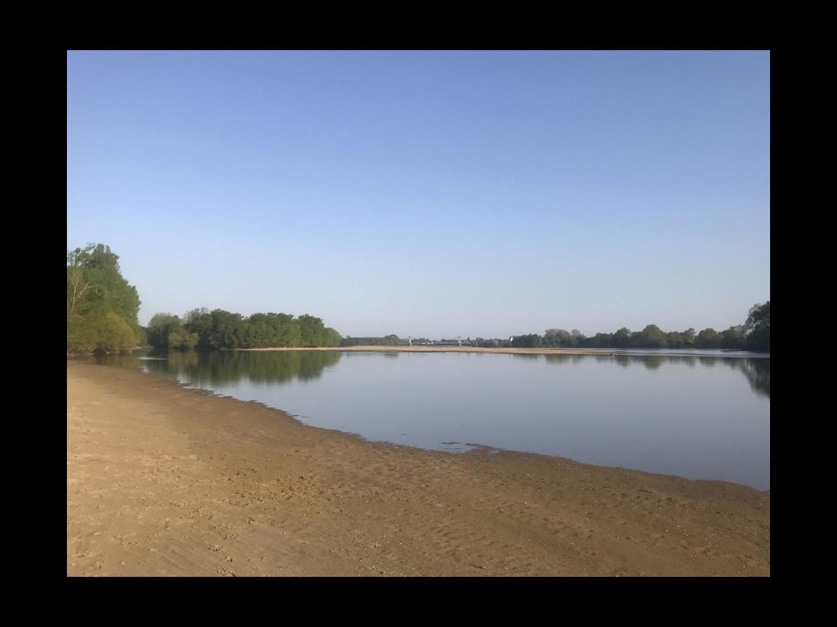 Une Nuit Sur Loire Treves-Cunault Eksteriør bilde